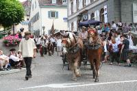 IMG_6474 (2) 